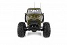 ELEMENT RC ENDURO ECTO TRAIL TRUCK RTR - GREEN