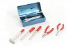 FASTRAX SCALE PAINTED TOOL BOX & 6 TOOLS