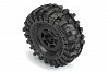 PROLINE MICKEY THOMPSON BAJA PRO X 1.9