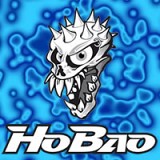 HoBao Launch New Website
